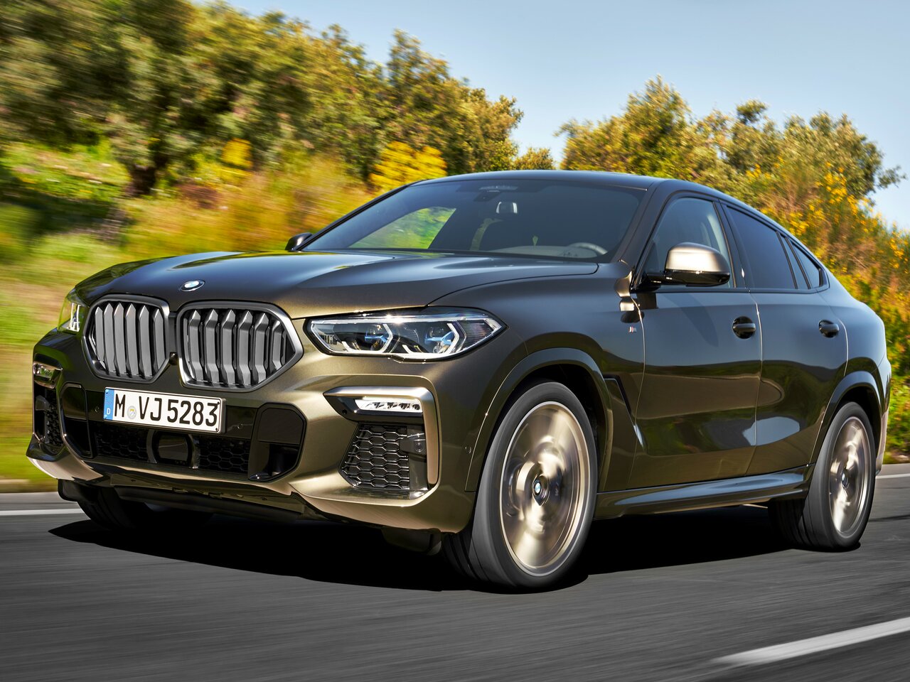 BMW X6 III G06 (Внедорожник 5 дверей, 2019-н.в.)