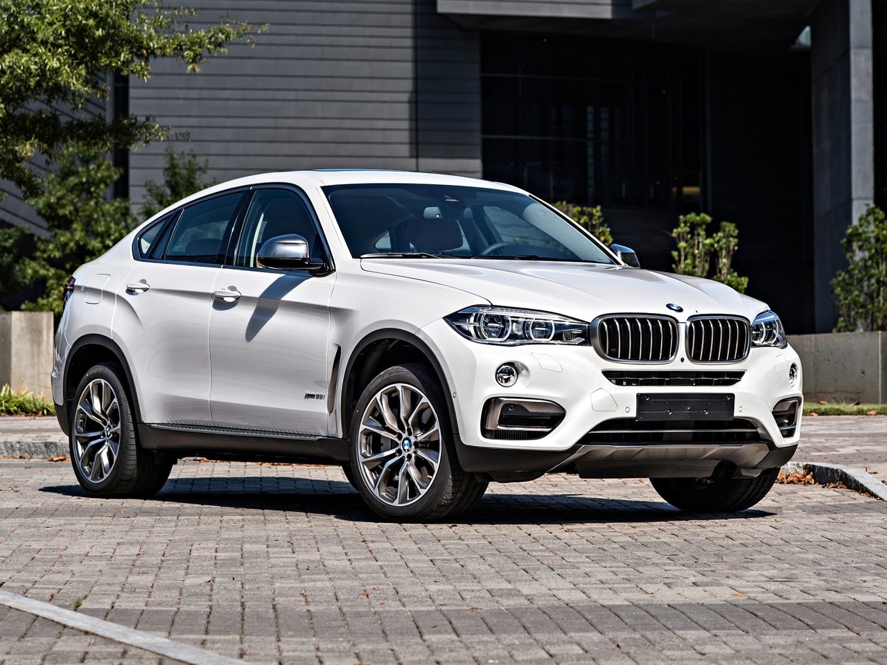 BMW X6 II F16 (Внедорожник 5 дверей, 2014-н.в.)