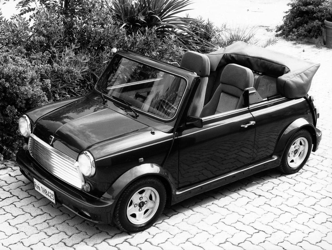 Rover Mini